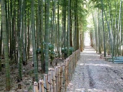 Auberge La Olive Ito (Shizuoka) Bagian luar foto